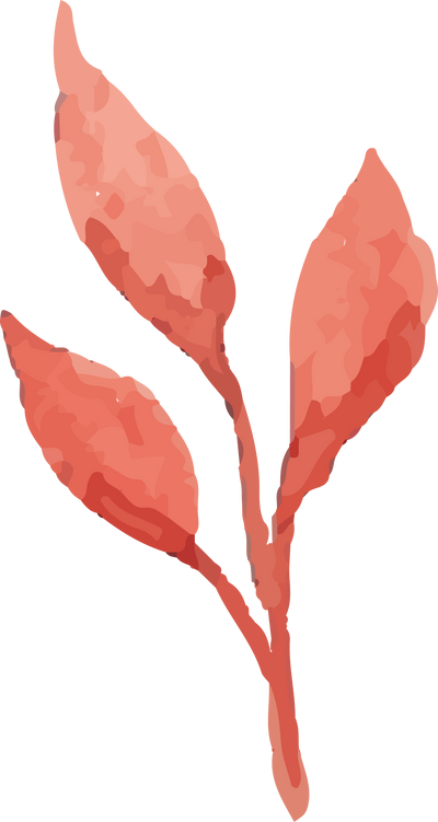 Watercolor Leaves Illustration